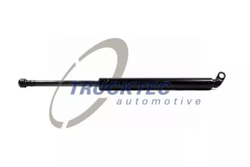 Gasfeder, Koffer-/Laderaum