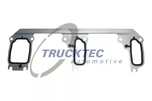 Dichtung, Kühlmittelflansch