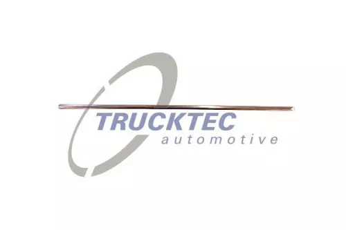 Zier-/Schutzleiste, Kühlergitter