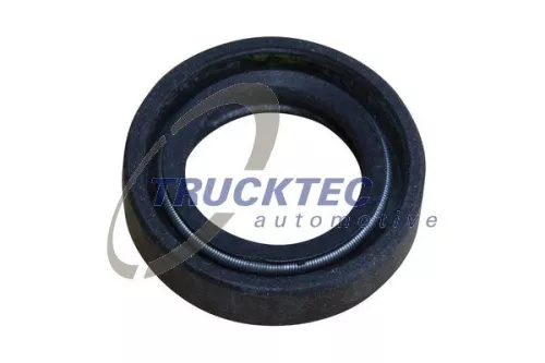 Wellendichtring, Servopumpe