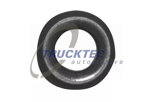 Buchse, Schaltstange