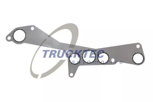 Dichtung, Ölfiltergehäuse