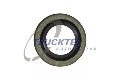 Dichtung, Kraftstoffleitung